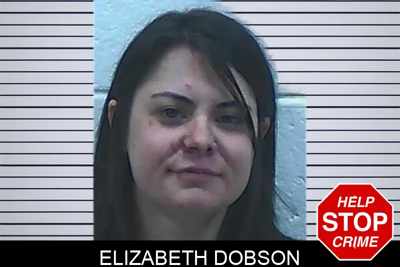 Elizabeth Dobson mugshot – Jackson County , Georgia Elizabeth Dobson mugshot