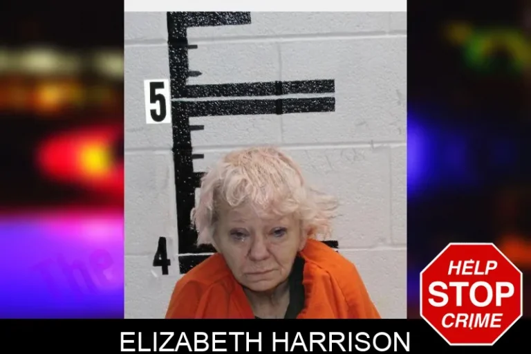 Elizabeth Harrison mugshot – Murray County , Georgia Elizabeth Harrison