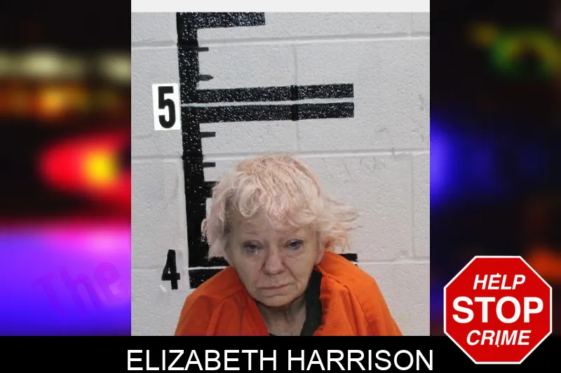 Elizabeth Harrison mugshot – Murray County , Georgia Elizabeth Harrison mugshot