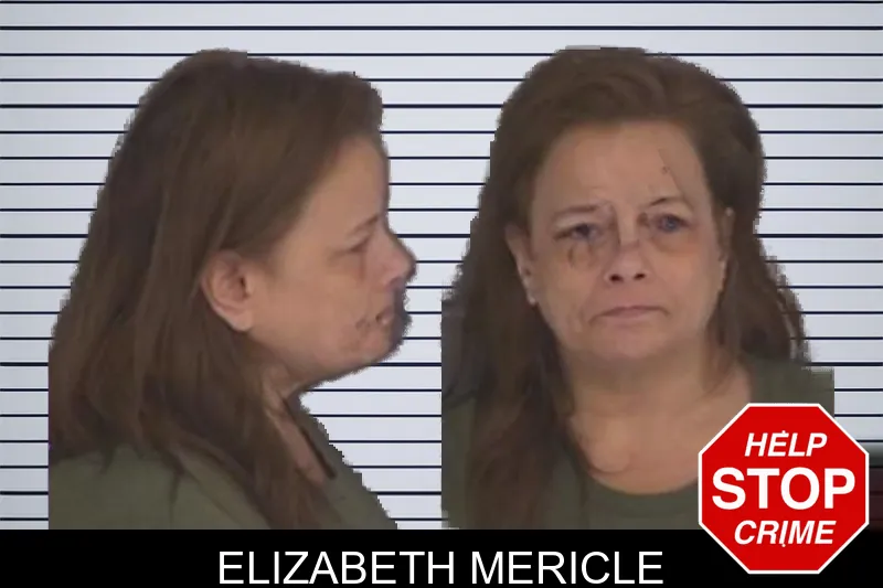 Elizabeth Mericle mugshot