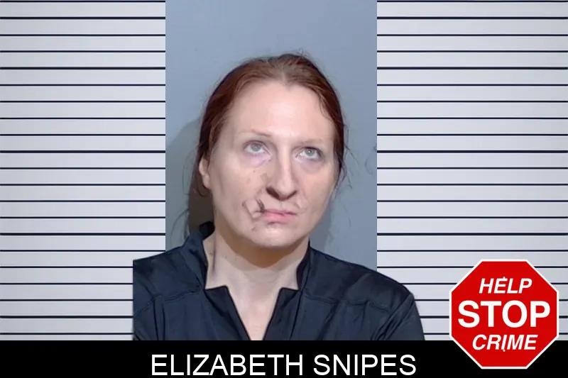 Elizabeth Snipes mugshot – Glynn County , Georgia Elizabeth Snipes mugshot