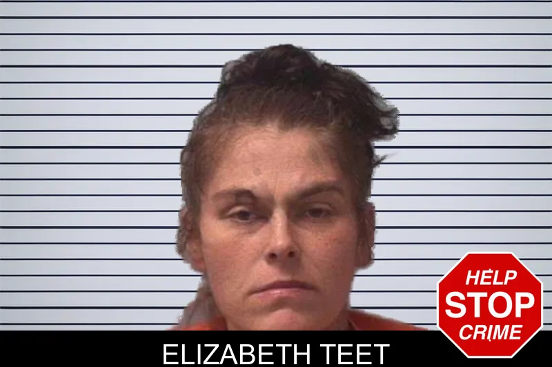 Elizabeth Teet mugshot
