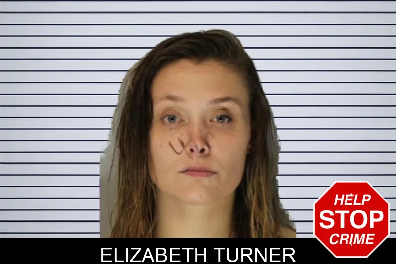 Elizabeth Turner mugshot – Hall County , Georgia Elizabeth Turner mugshot