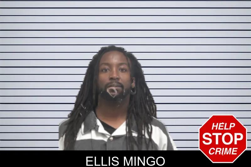 Ellis Mingo mugshot