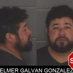 Elmer Galvan Gonzalez mugshot
