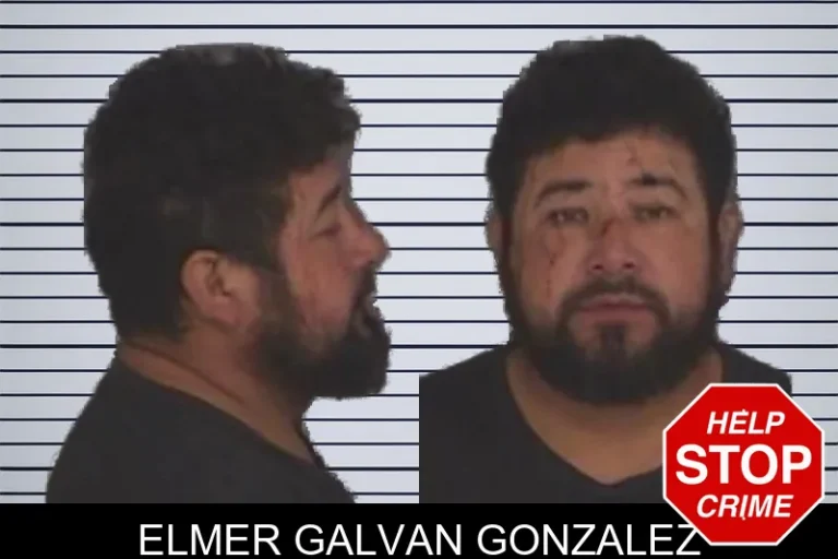 Elmer Galvan Gonzalez