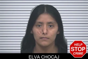 Elva Chocaj mugshot