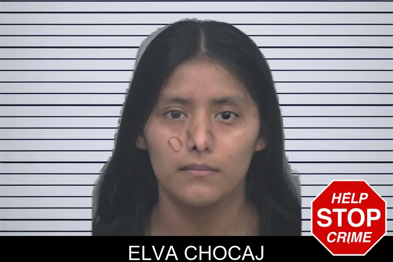 Elva Chocaj mugshot – Gwinnett County , Georgia Elva Chocaj mugshot