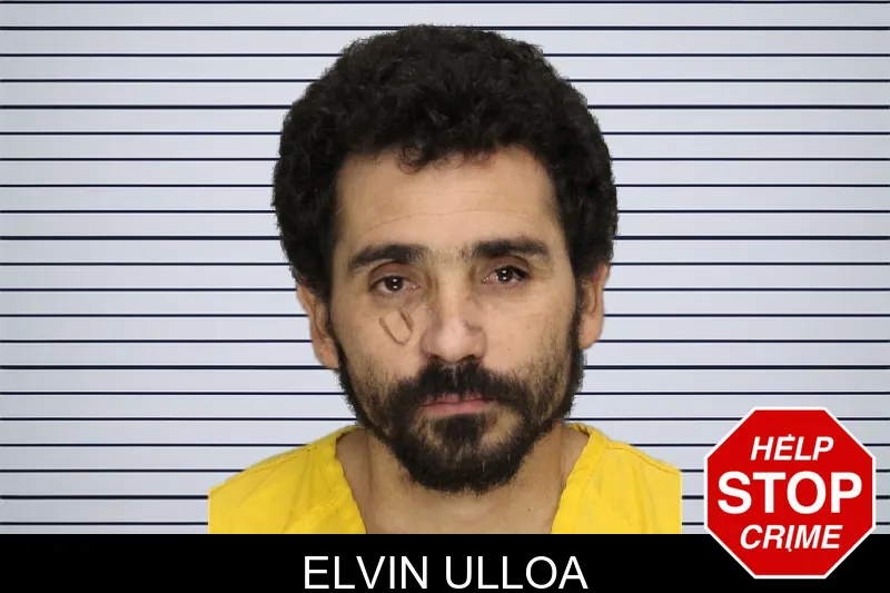 Elvin Ulloa mugshot