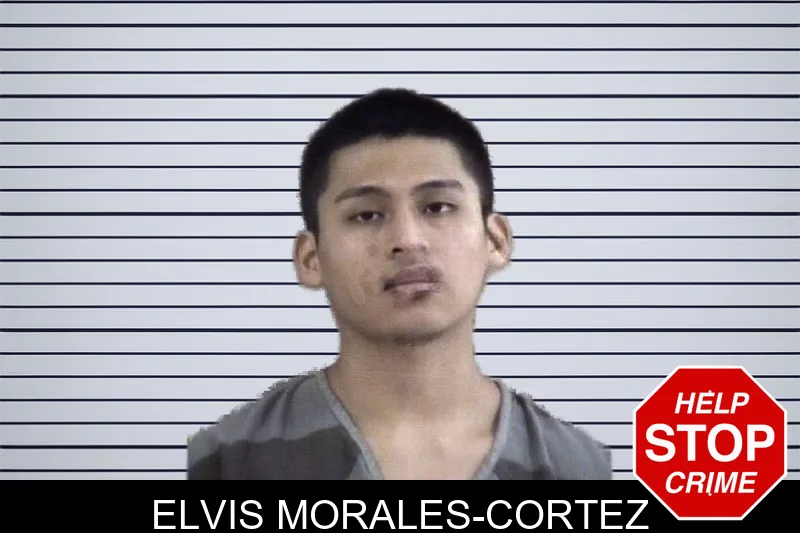Elvis Morales-Cortez mugshot