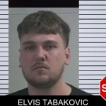 Elvis Tabakovic mugshot