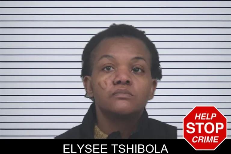 Elysee Tshibola mugshot – Gwinnett County , Georgia Elysee Tshibola