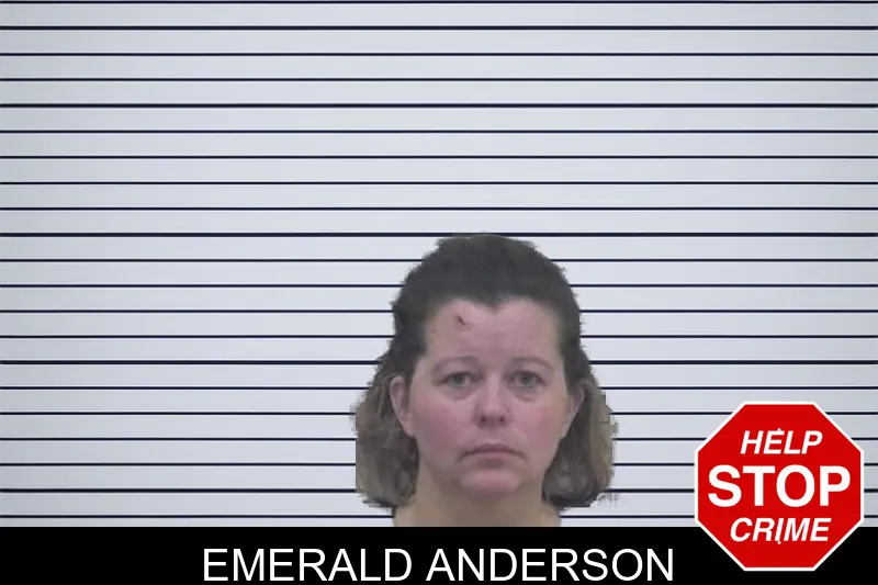 Emerald Anderson mugshot