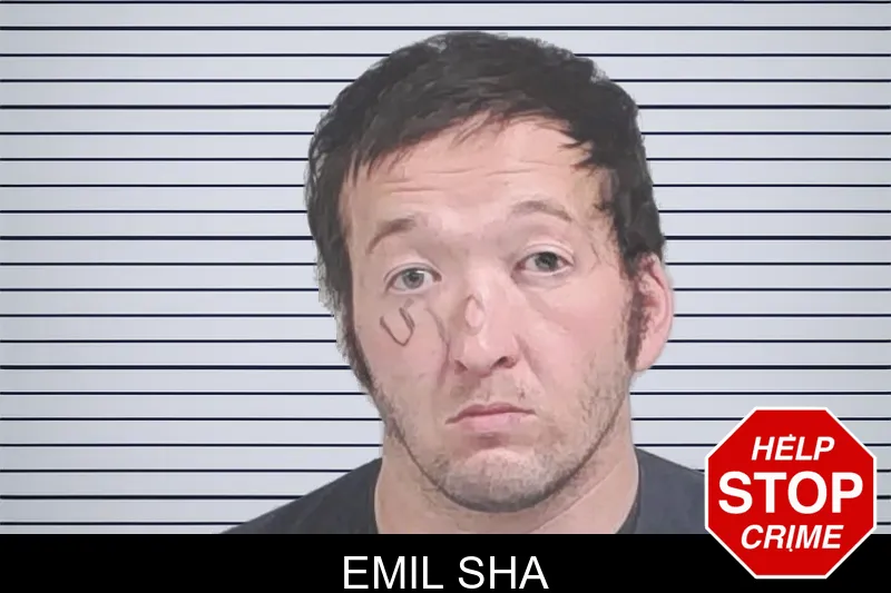 Emil Sha mugshot – Lowndes County , Georgia Emil Sha mugshot