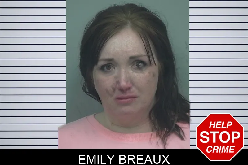 Emily Breaux mugshot – Gwinnett County , Georgia Emily Breaux mugshot