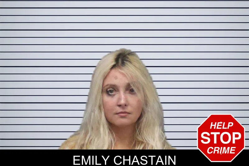 Emily Chastain mugshot – White County , Georgia Emily Chastain mugshot