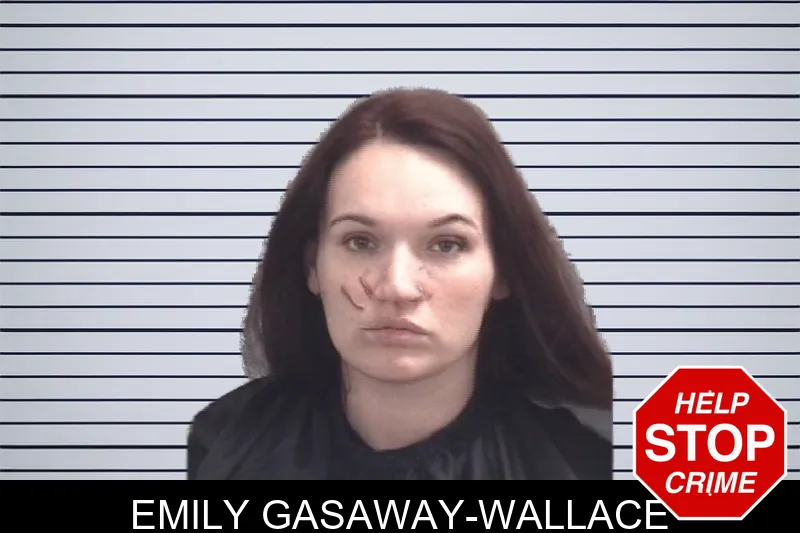 Emily Gasaway-Wallace mugshot