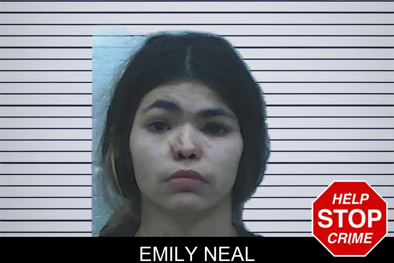 Emily Neal mugshot – Jackson County , Georgia Emily Neal mugshot