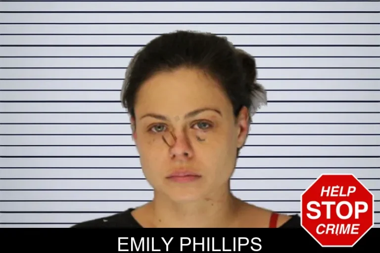 Emily Phillips mugshot – Hall County , Georgia Emily Phillips