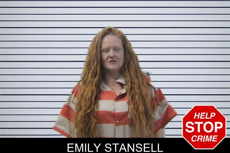 Emily Stansell mugshot – Stephens County , Georgia Emily Stansell