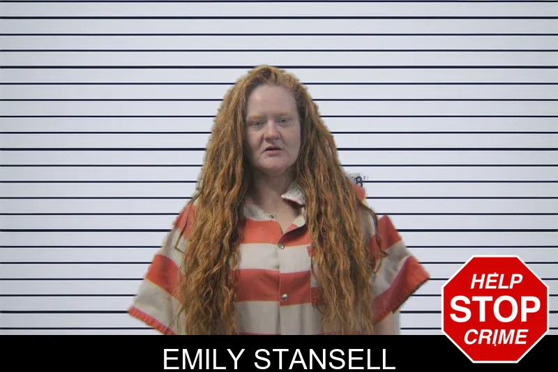 Emily Stansell mugshot