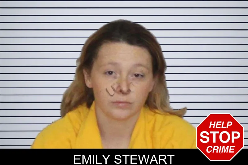 Emily Stewart mugshot