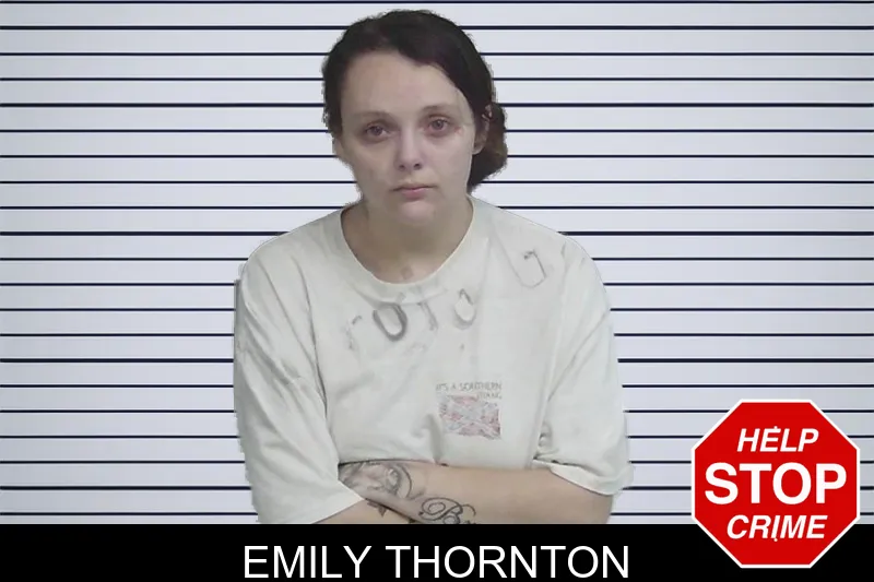 Emily Thornton mugshot – Wayne County , Georgia Emily Thornton mugshot