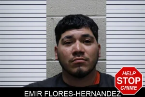 Emir Flores-Hernandez mugshot