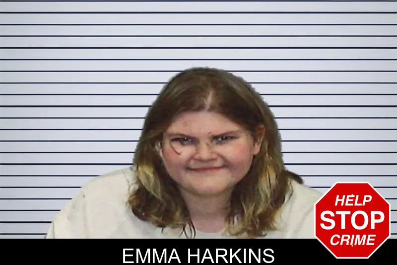 Emma Harkins mugshot – White County , Georgia Emma Harkins mugshot