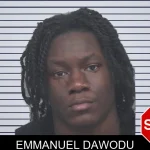 Emmanuel Dawodu mugshot