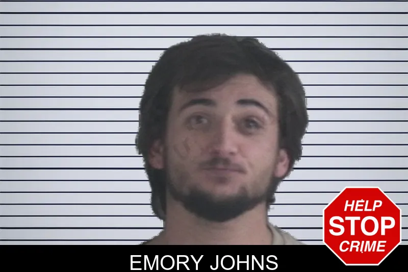 Emory Johns mugshot