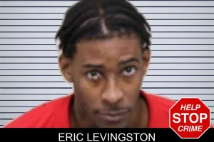 Eric Levingston mugshot
