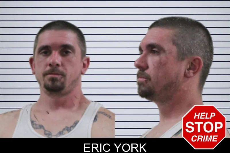 Eric York mugshot – Houston County , Georgia Eric York mugshot