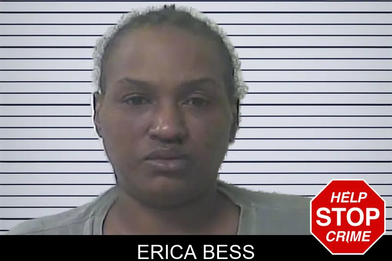 Erica Bess mugshot