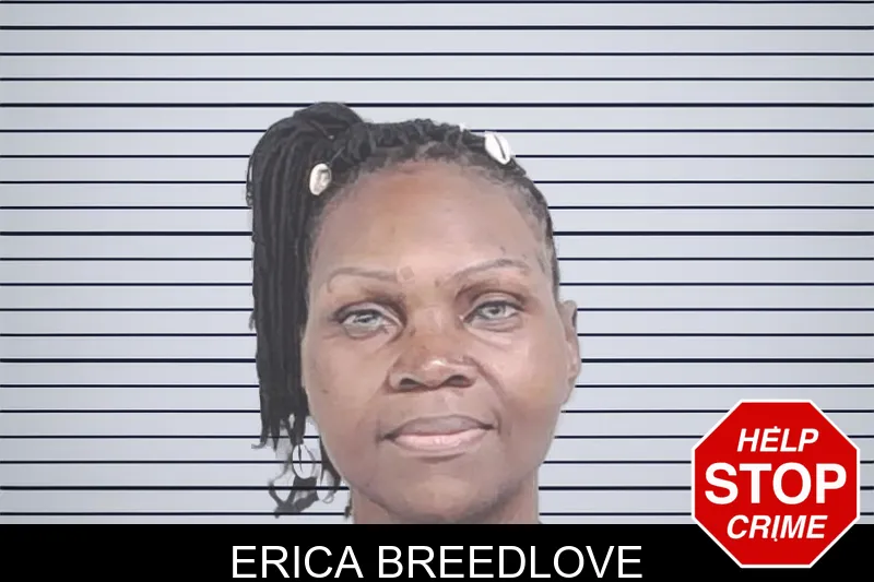 Erica Breedlove mugshot