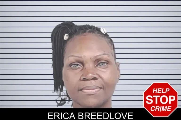 Erica Breedlove mugshot – Lowndes County , Georgia Erica Breedlove