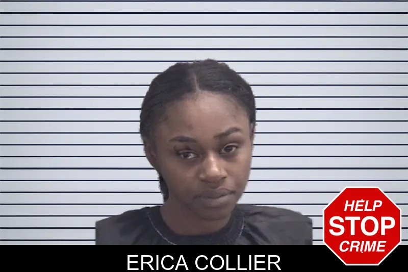 Erica Collier mugshot