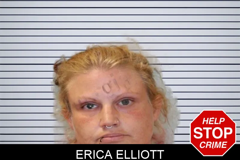 Erica Elliott mugshot