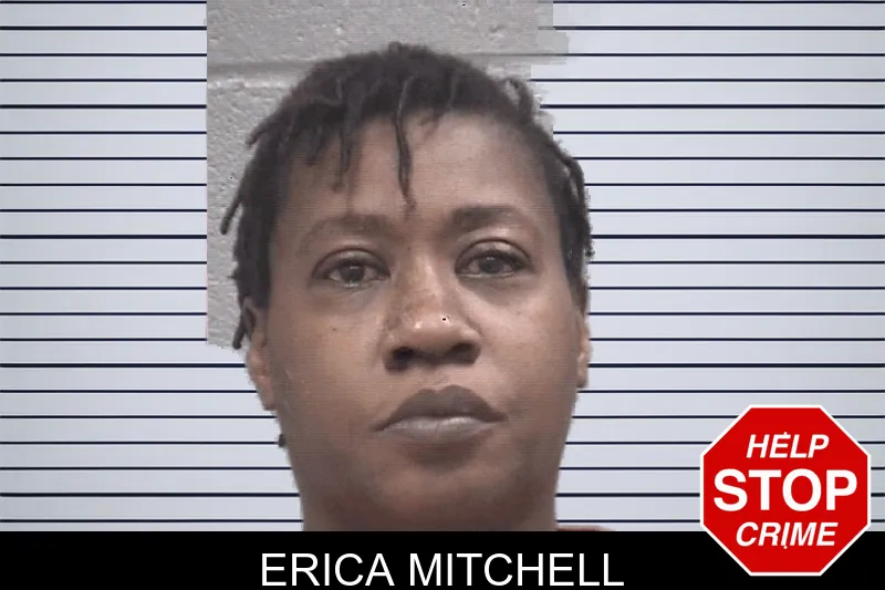 Erica Mitchell mugshot