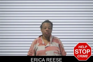 Erica Reese mugshot