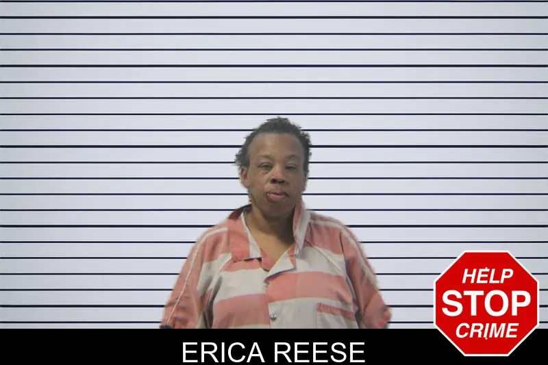 Erica Reese mugshot – Stephens County , Georgia Erica Reese mugshot
