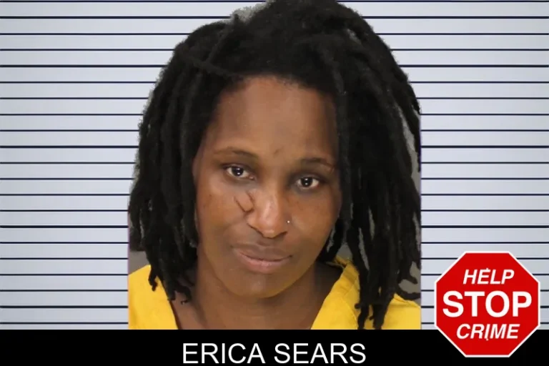 Erica Sears mugshot – Cobb County , Georgia Erica Sears