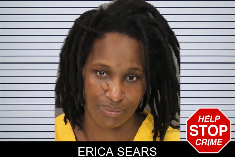 Erica Sears mugshot – Cobb County , Georgia Erica Sears mugshot