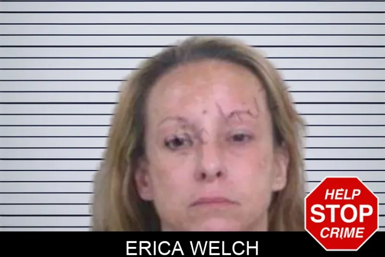 Erica Welch mugshot – Washington County , Georgia Erica Welch