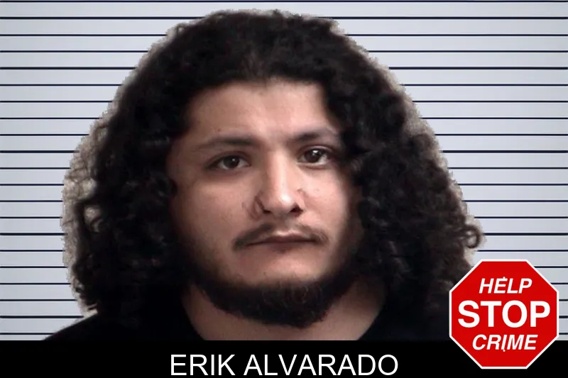 Erik Alvarado mugshot