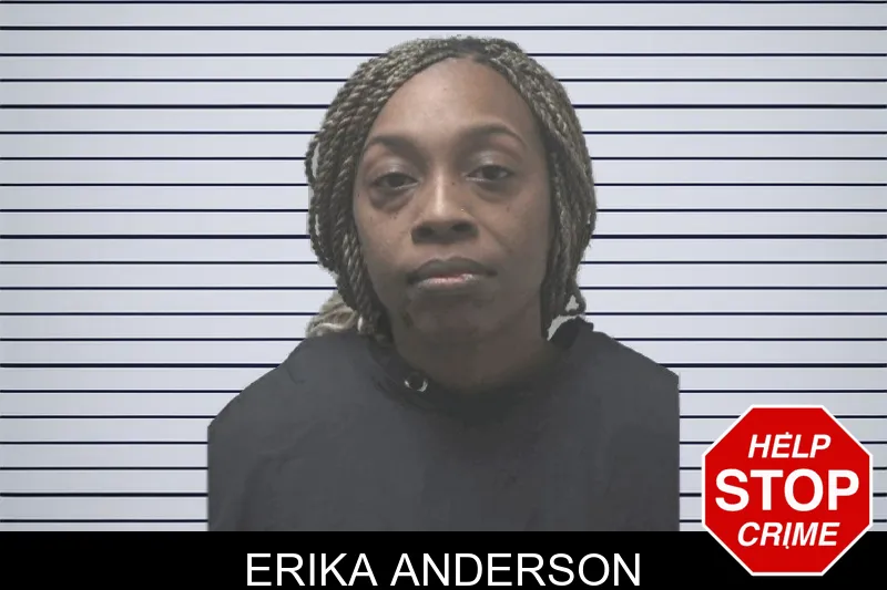 Erika Anderson mugshot