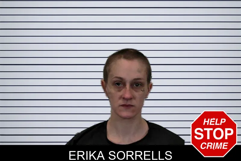 Erika Sorrells mugshot