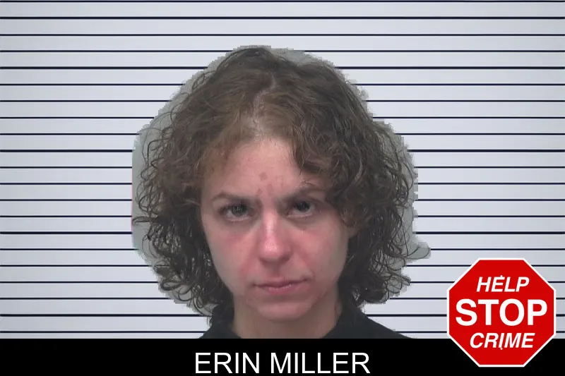Erin Miller mugshot – Gwinnett County , Georgia Erin Miller mugshot