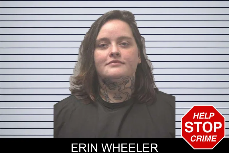 Erin Wheeler mugshot – Coweta County , Georgia Erin Wheeler mugshot