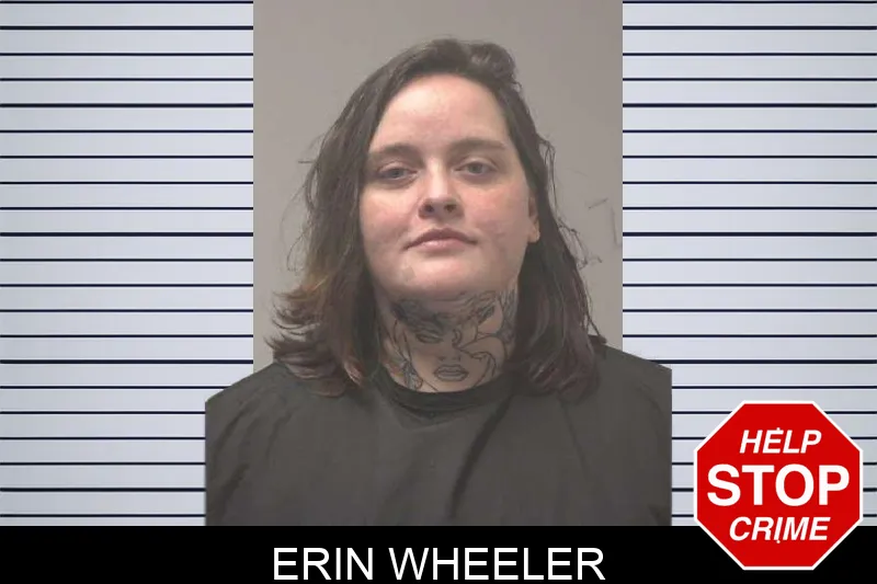 Erin Wheeler mugshot